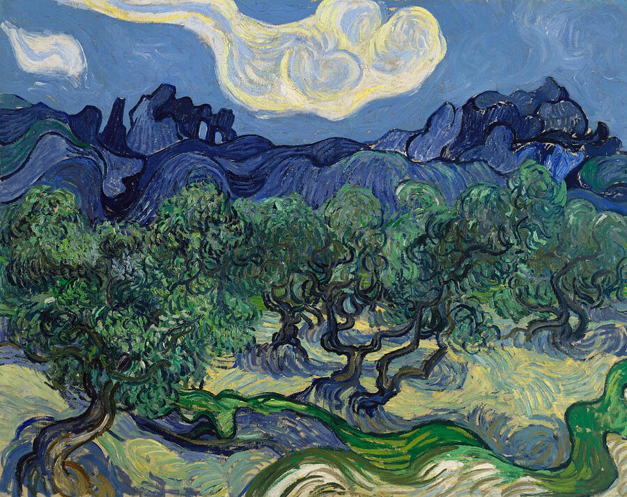 The Olive Trees, from 1889 Painting by Vincent van Gogh