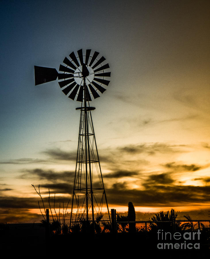 The Old Windmill Photograph by Robert Bales