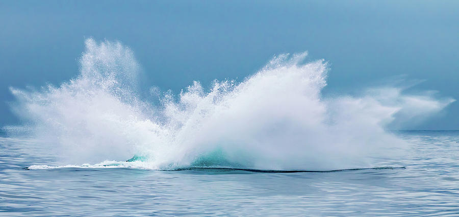 A Whale of a Big Splash Photograph by David A Litman