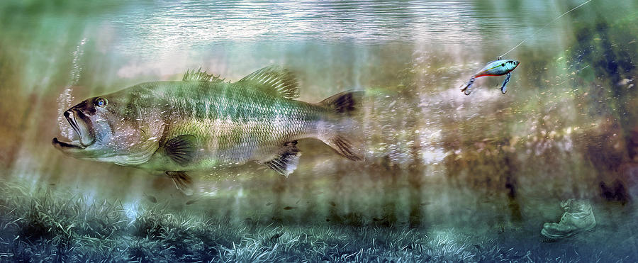Fish Photograph - The One That Got Away by Mal Bray