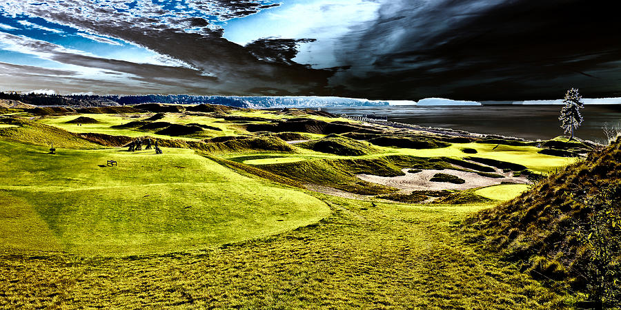 The Only Tree on the Chambers Bay Course - #15 Photograph by David Patterson