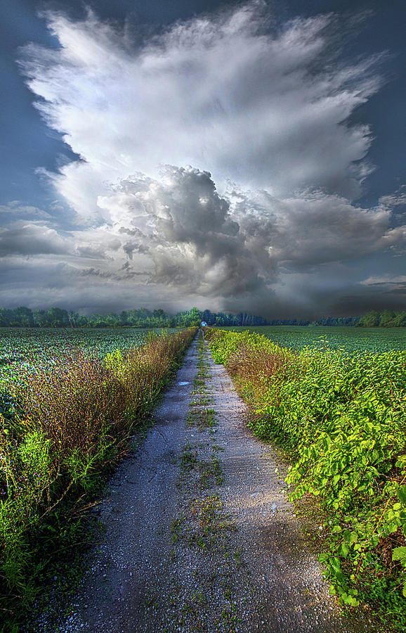 The Only Way In Photograph by Phil Koch