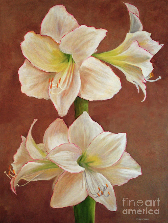 Flower Painting - The Opening Flower by Carolyn Shireman Flower Painting - The Opening Flower by Carolyn Shireman