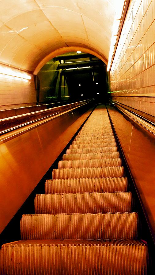 The Orange Path by Delvon The Orange Path by Delvon