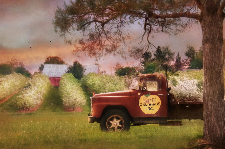 Barn Photograph - The Orchard Truck by Lori Deiter