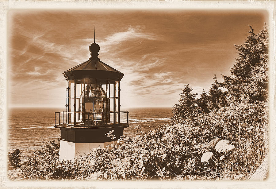 The Oregon Coast - A View Near the Top From The Cape Meares Lighthouse - Sepia Photograph by Michael Mazaika