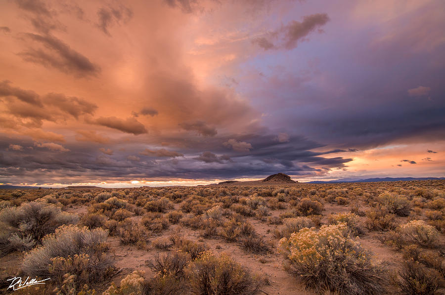 The Oregon Desert Photograph by Russell Wells