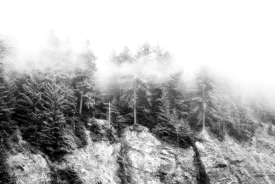 The Oregon Fog Photograph by Joseph S Giacalone