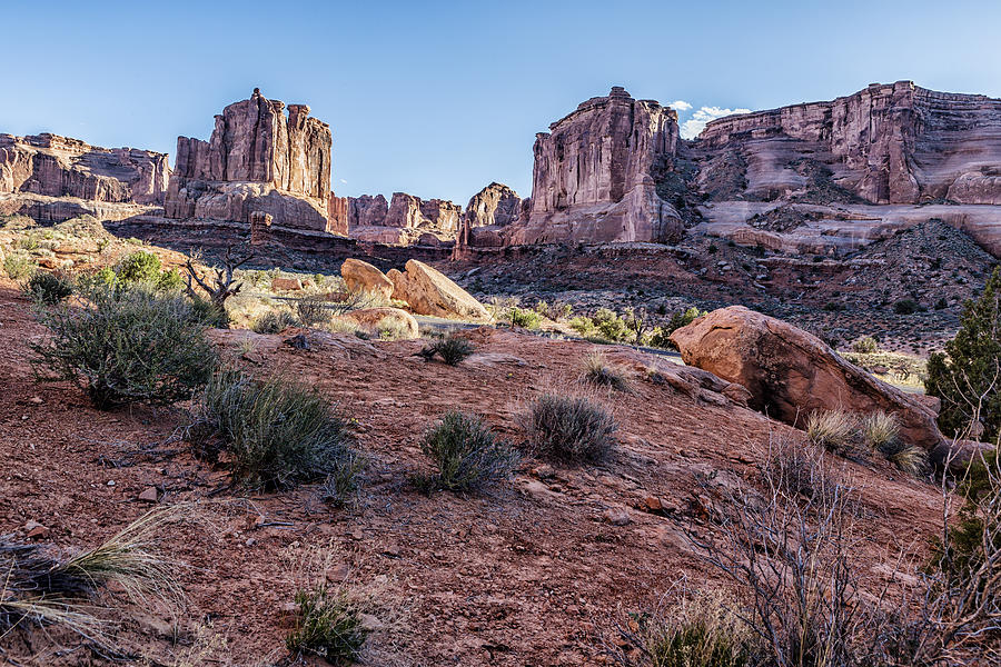The Organ and Courthouse - Arches National Park Photograph by Belinda Greb