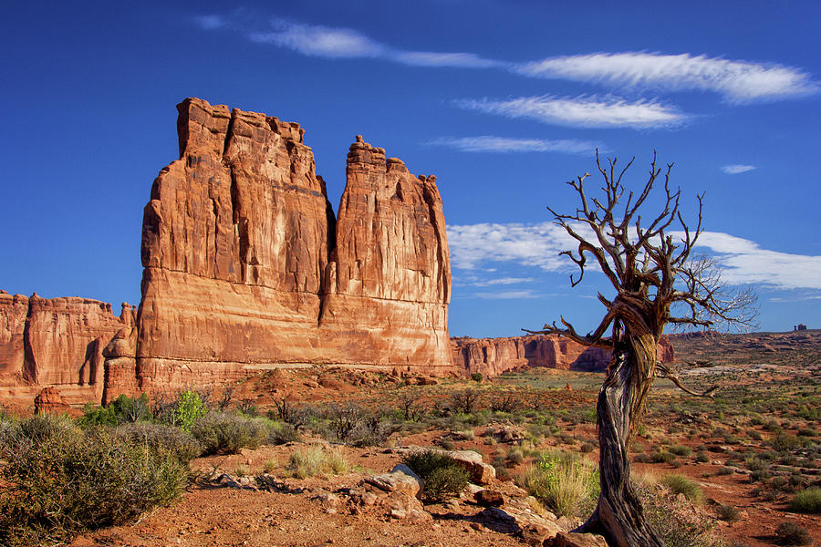The Organ in Arches National Park Photograph by Carolyn Derstine