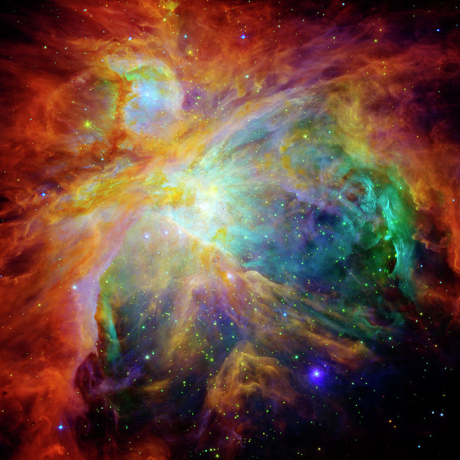 The Orion Nebula : astrophotography