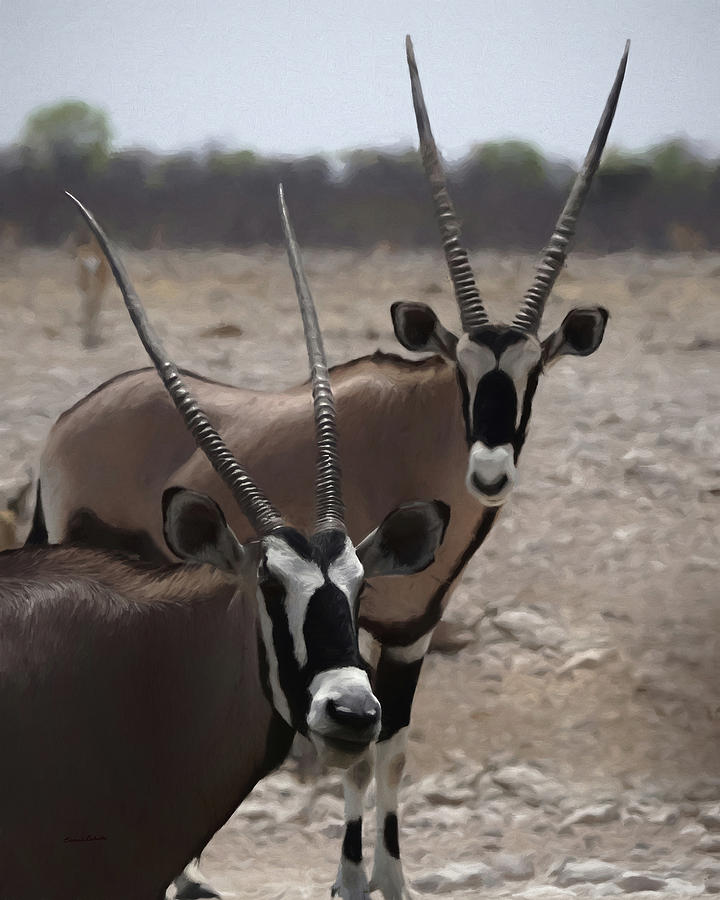 Wildlife Digital Art - The Oryx DA by Ernest Echols