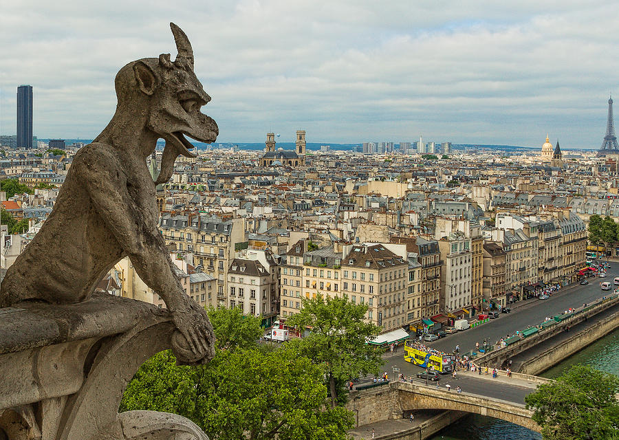 The other Gargoyle Photograph by Robert Navarette