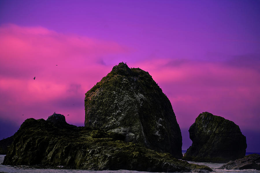 Sunset Photograph - The Other Side Of Oceanside by Jeff Jewkes