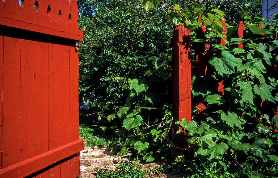 Gate Photograph - The Outer Gate by Lonnie Paulson Gate Photograph - The Outer Gate by Lonnie Paulson