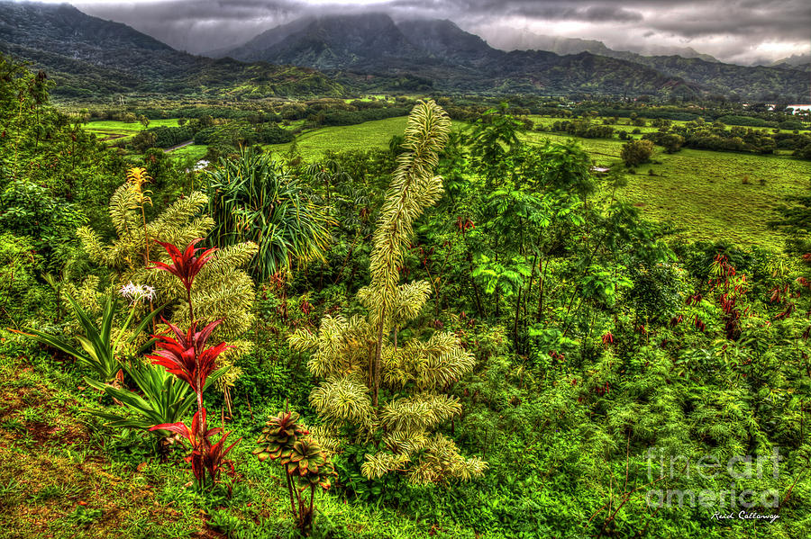 Majestic Kauai Overlook Kauai Island Hawaii Collection Art Photograph by Reid Callaway