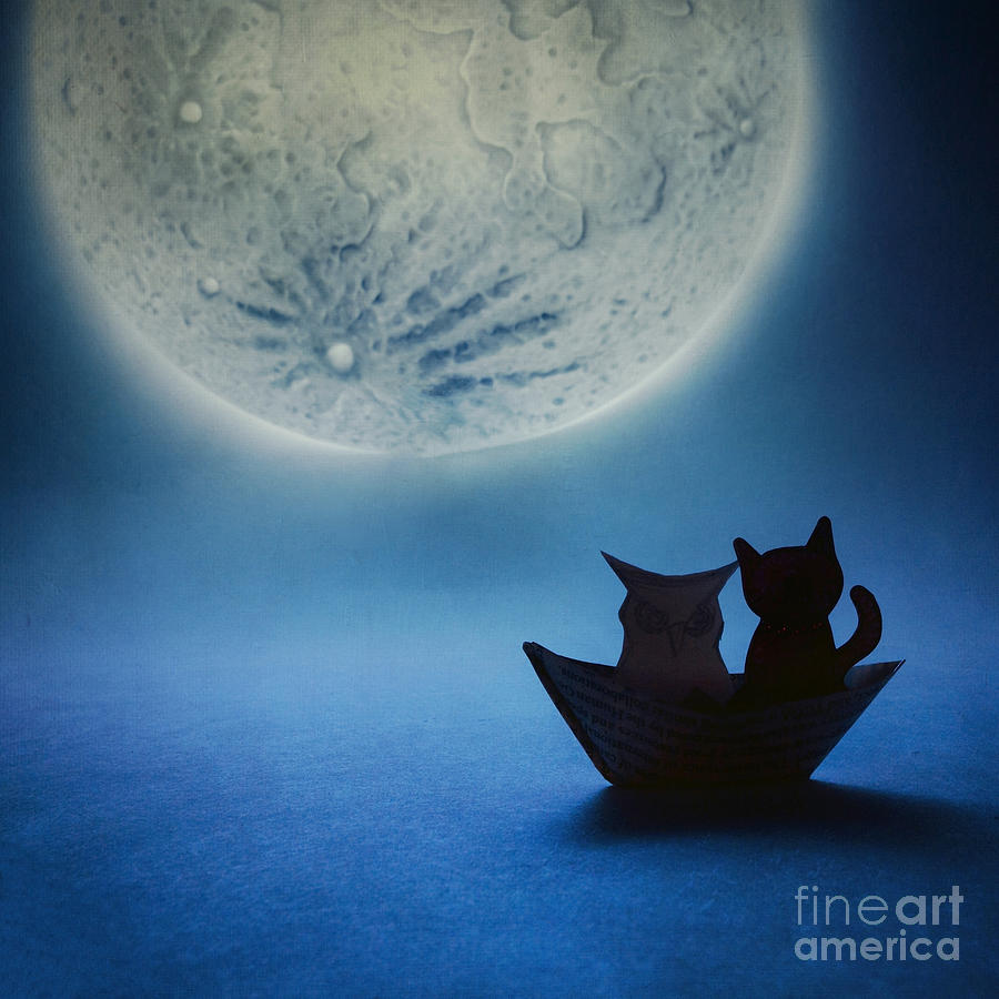 The Owl And The Pussycat Photograph by Catherine MacBride The Owl And The Pussycat Photograph by Catherine MacBride