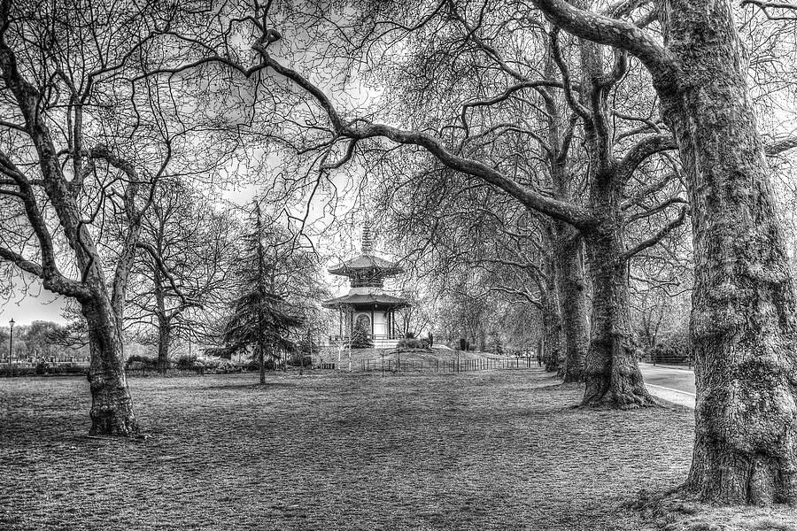 The Pagoda Battersea Park London Photograph by David Pyatt