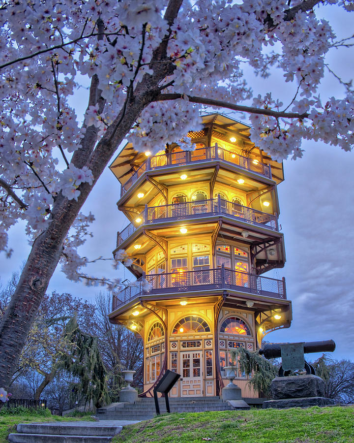 The Pagoda in Spring at Blue Hour Photograph by Mark Dodd