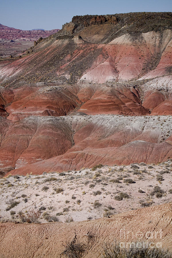 The Painted Desert  8020 Photograph by James BO Insogna