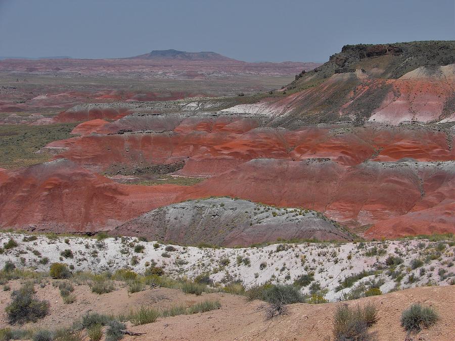 The Painted Desert Photograph by Carl Moore