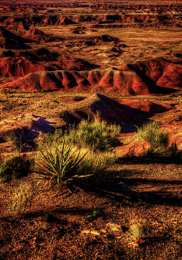 The Painted Desert from Kachina Point Photograph by Roger Passman