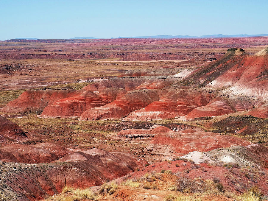 The Painted Desert Photograph by Mary Capriole
