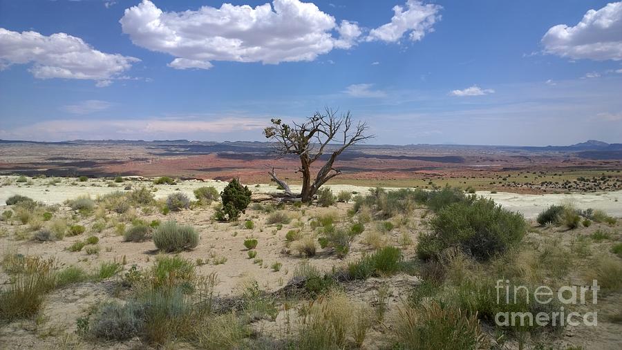 The Painted Desert Of Utah 2 Photograph by Jennifer E Doll