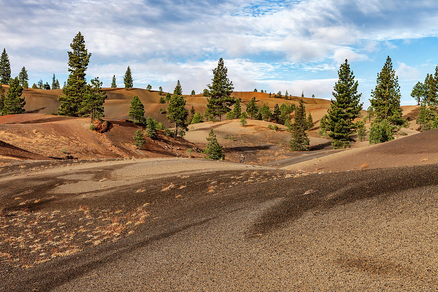 Painted Dunes in Lassen National Park Photograph by Rick Pisio