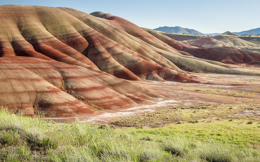 The Painted Hills in Profile Photograph by Tim Newton