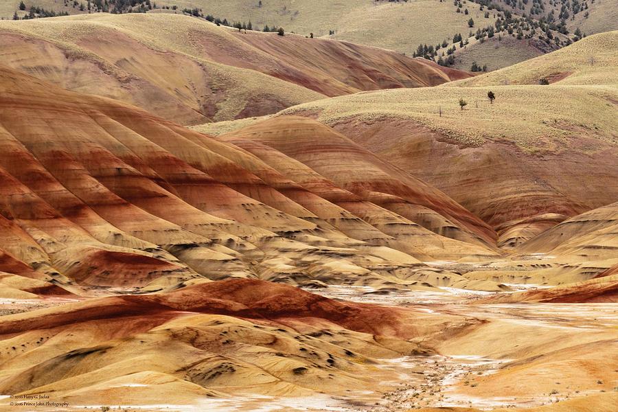 The Painted Hills Of Oregon - 1 Photograph by Hany J