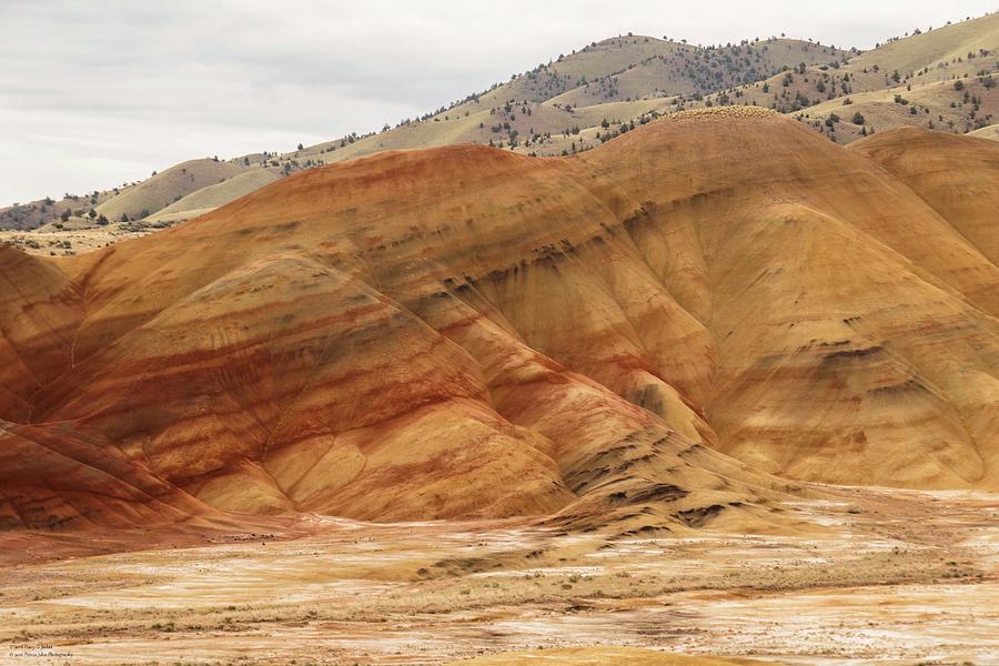 The Painted Hills Of Oregon - 2 Photograph by Hany J