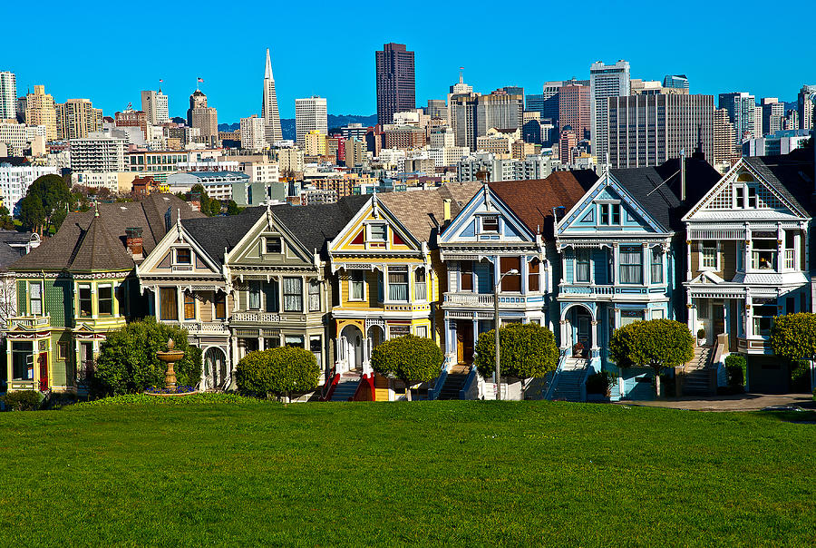 The Painted Ladies Photograph by Harry Spitz