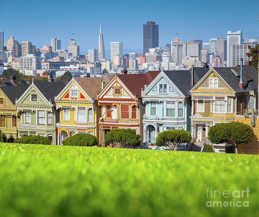The Painted Ladies Photograph by JR Photography