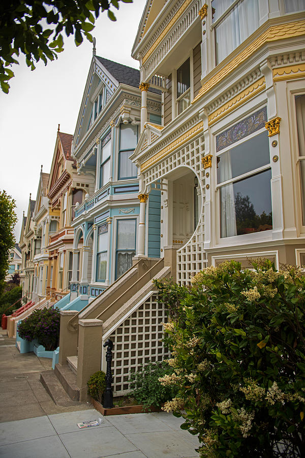 The Painted Ladies of San Francisco Photograph by Willie Harper