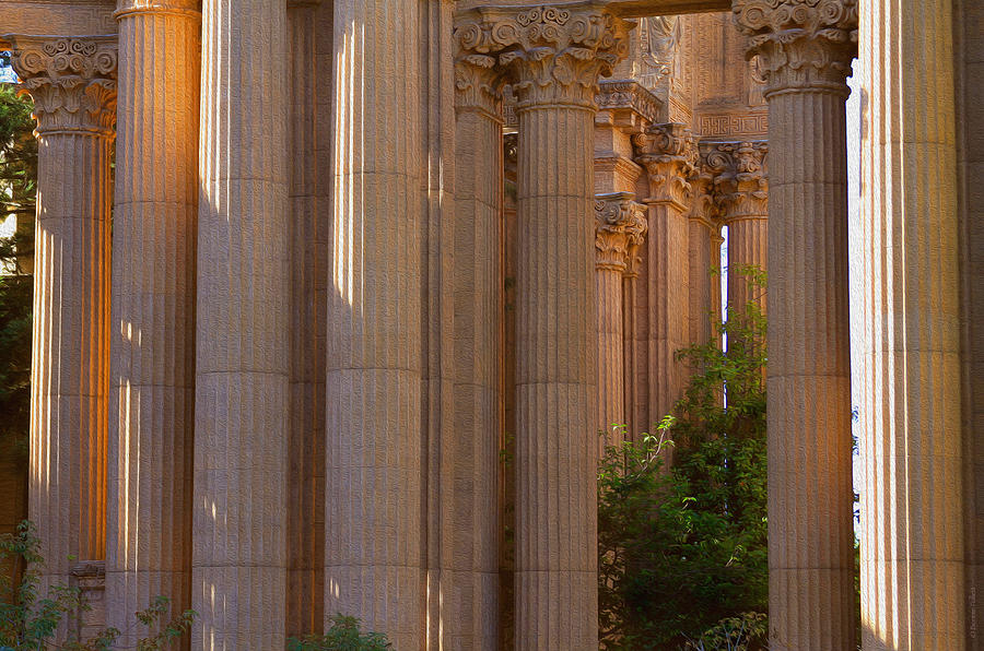 The Palace Columns Photograph by Bonnie Follett
