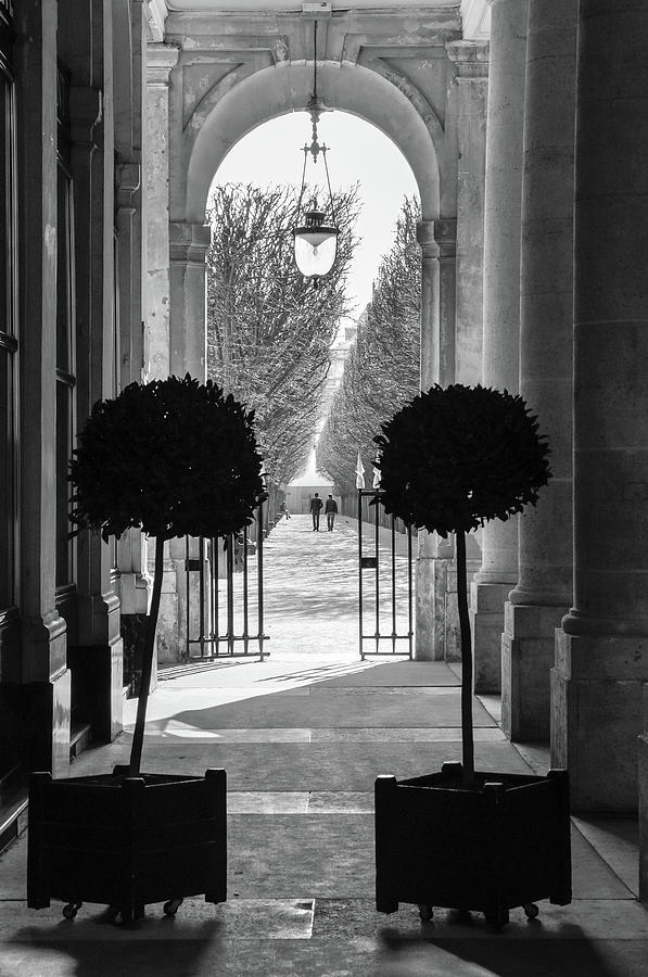 The Palais-Royal gardens in Paris Photograph by Dutourdumonde Photography