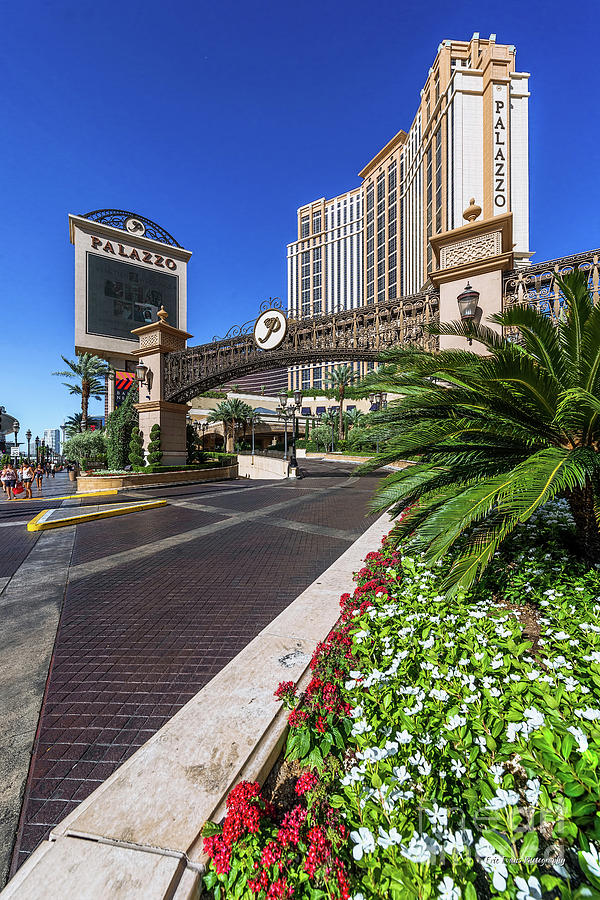Las Vegas Photograph - The Palazzo Casino Side View by Aloha Art