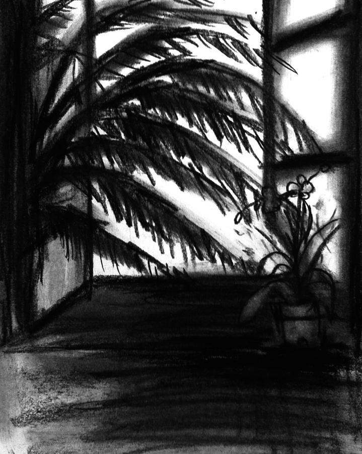 The palm tree Drawing by Hae Kim