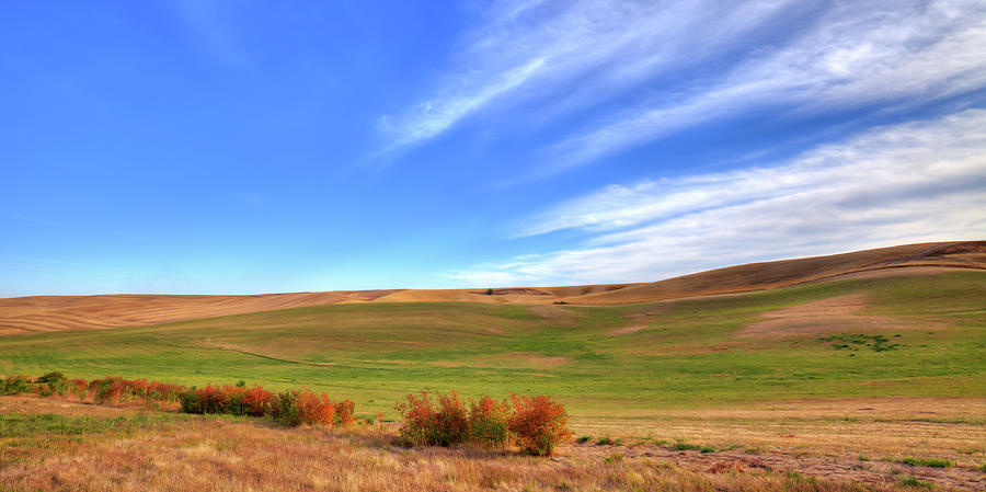 The Palouse Hills in September Photograph by David Patterson