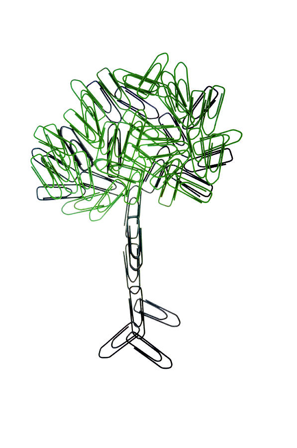 The Paperclip Tree Photograph by Jean Gill