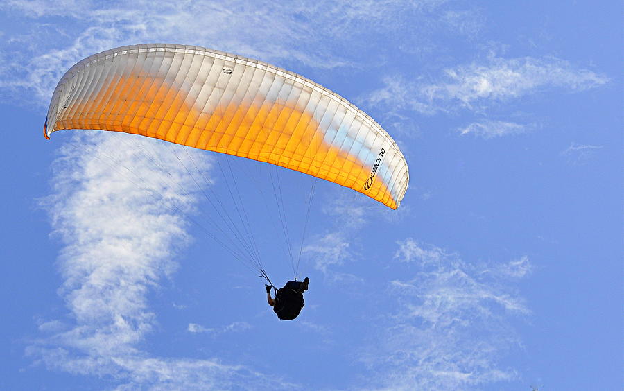 The Paraglider Photograph by AJ Schibig