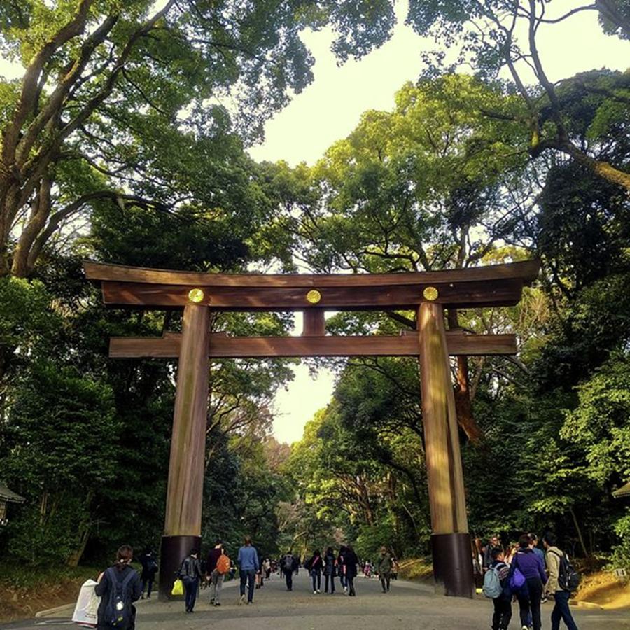 Meiji Photograph - The Park Around The #meiji Shrine Is So by Peter M Tan