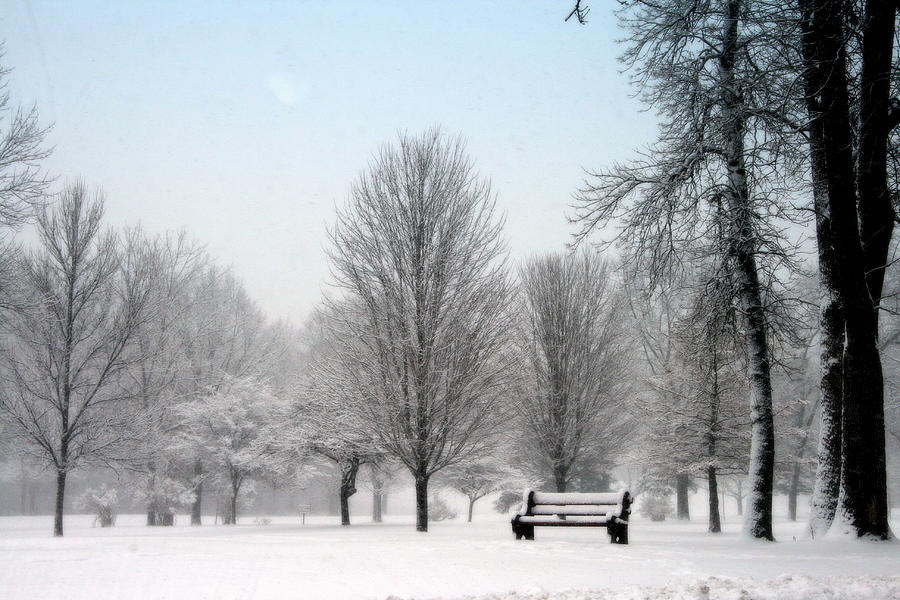 The Park Bench In Winter Photograph by Kay Novy