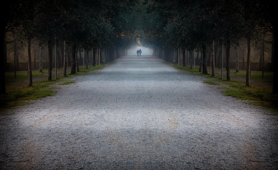 The Park in Cortona Tuscany Photograph by Al Hurley
