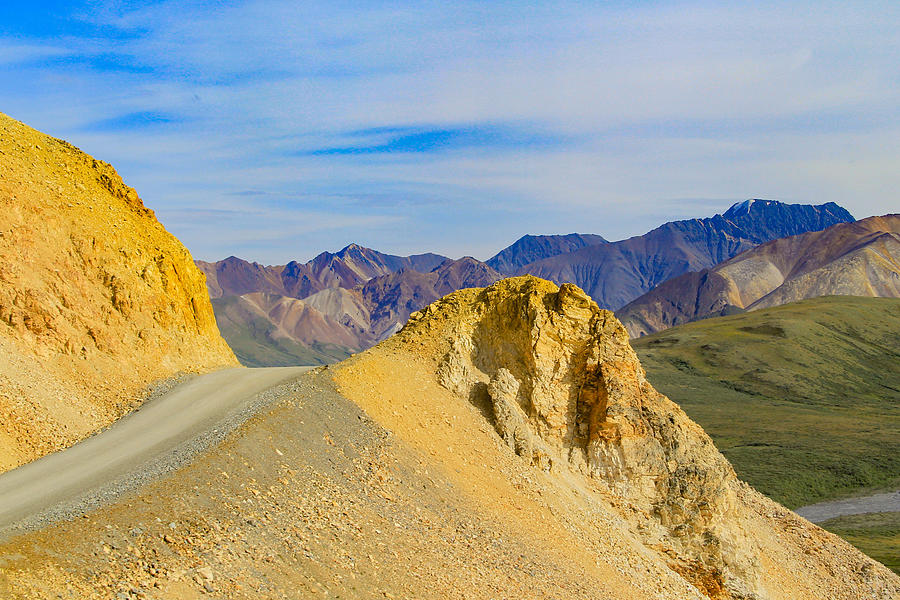 The Park Road, Denali National Park Photograph by Mo Barton