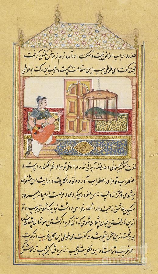 The Parrot Addresses Khujasta Painting by Celestial Images