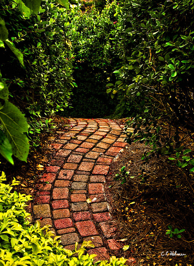 The Path Photograph by Christopher Holmes