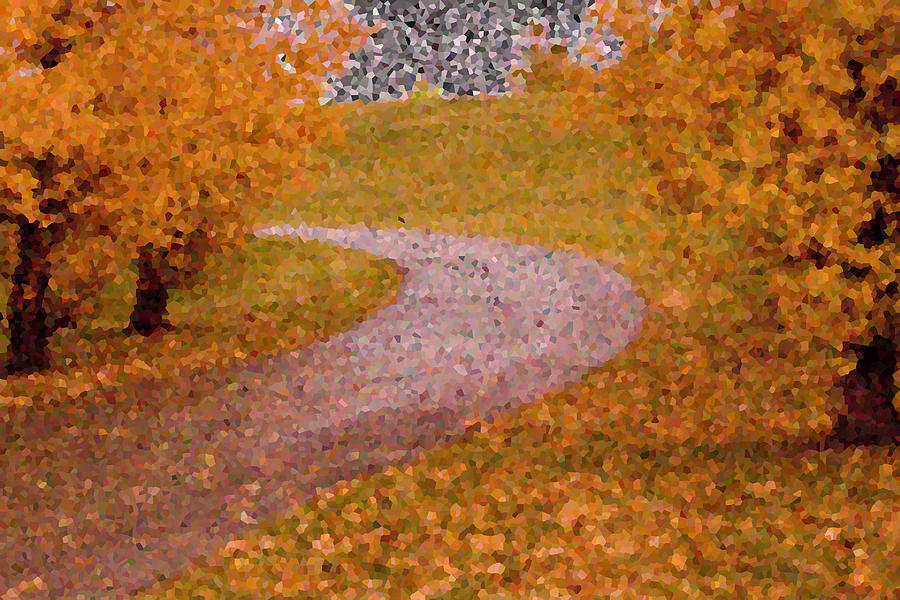 The Path in Mozaic print Photograph by Jana Rosenkranz