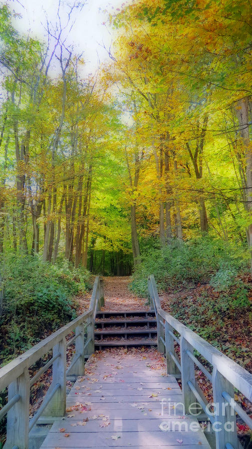Nature Photograph - The Path Into Autumn Woods by Kay Novy
